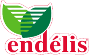 Endelis